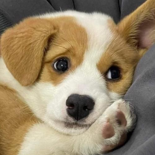 สมาชิกหมายเลข 2971488