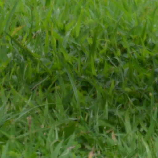 สมาชิกหมายเลข 3365087