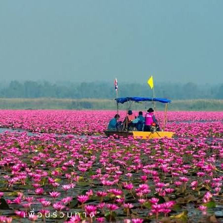 สมาชิกหมายเลข 4032801