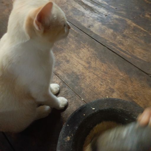 สมาชิกหมายเลข 6703432