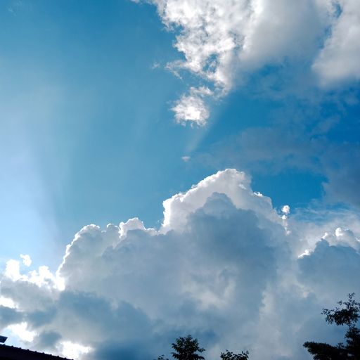 สมาชิกหมายเลข 8609029