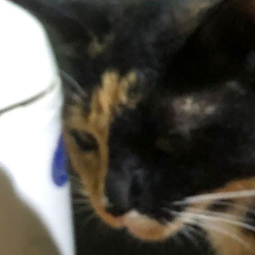 สมาชิกหมายเลข 8683812