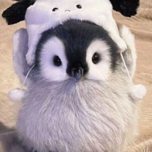 สมาชิกหมายเลข 9266804