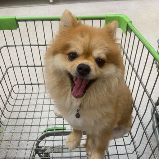 สมาชิกหมายเลข 9268661