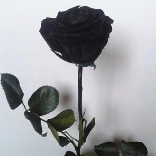 สมาชิกหมายเลข 1789698