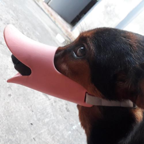 สมาชิกหมายเลข 2284255