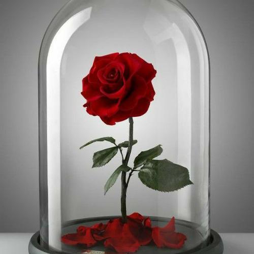 สมาชิกหมายเลข 4717758