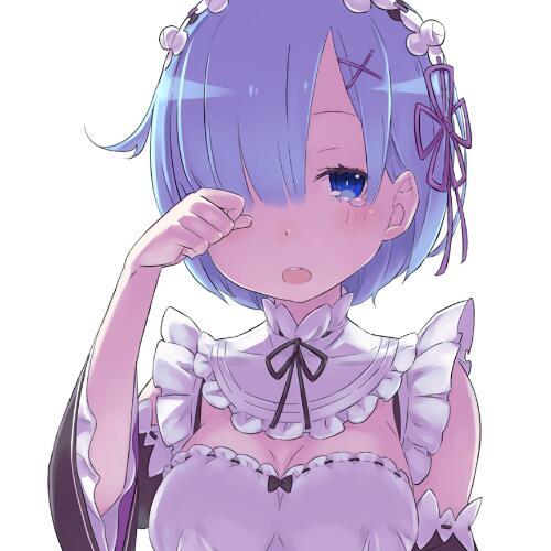 สมาชิกหมายเลข 4932835