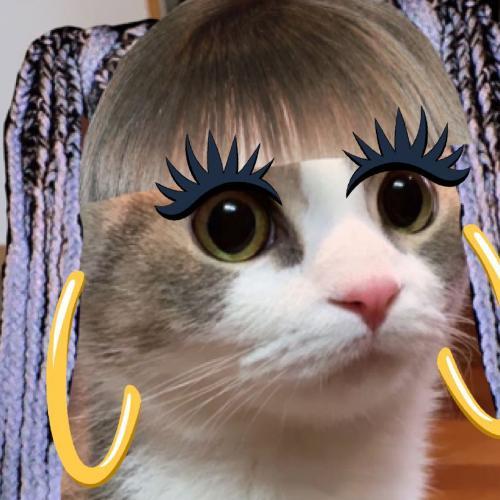 สมาชิกหมายเลข 2476549