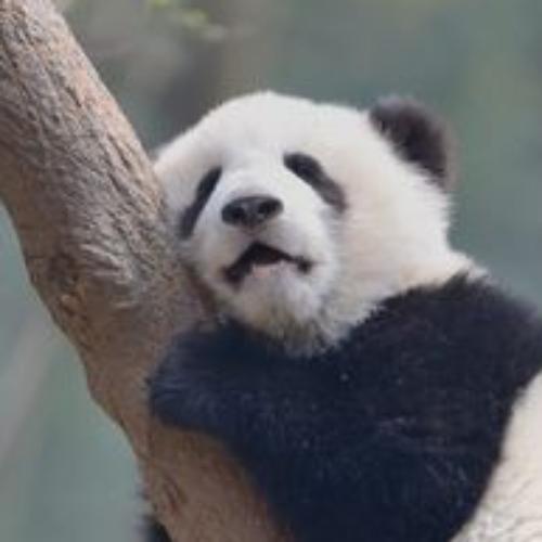 สมาชิกหมายเลข 3751847