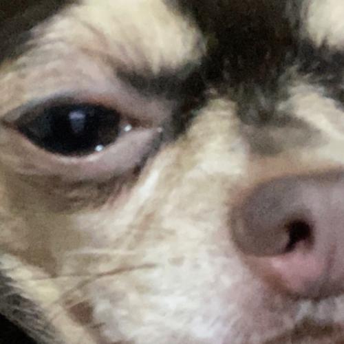 สมาชิกหมายเลข 1947762