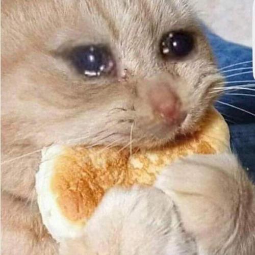 สมาชิกหมายเลข 3757293