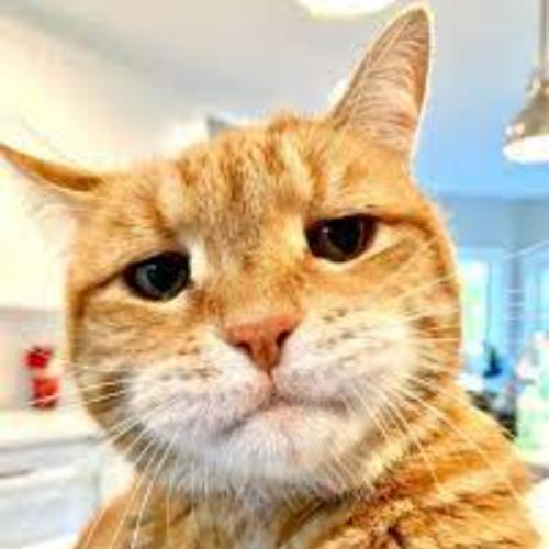 สมาชิกหมายเลข 2428865