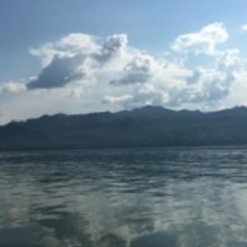 สมาชิกหมายเลข 7082993