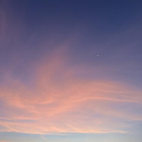 สมาชิกหมายเลข 2362981