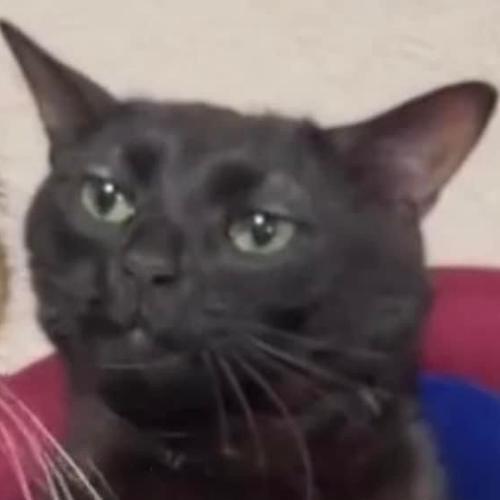 สมาชิกหมายเลข 7870731