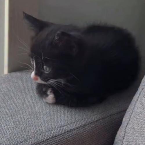 สมาชิกหมายเลข 7612599