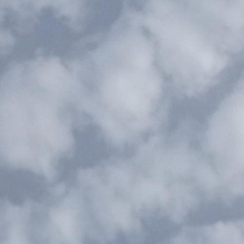 สมาชิกหมายเลข 8079602