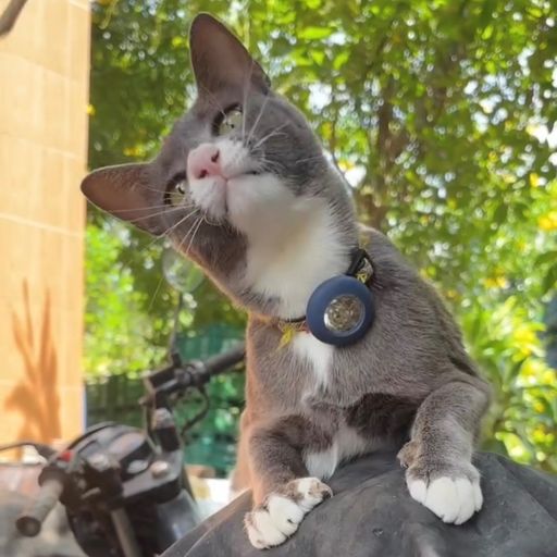 สมาชิกหมายเลข 3668743