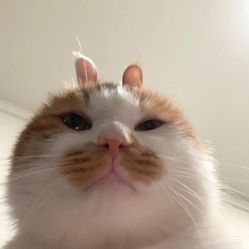 สมาชิกหมายเลข 8573300