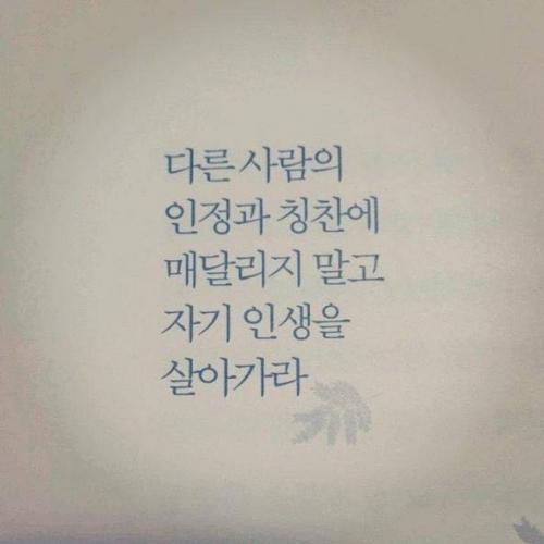 สมาชิกหมายเลข 883682