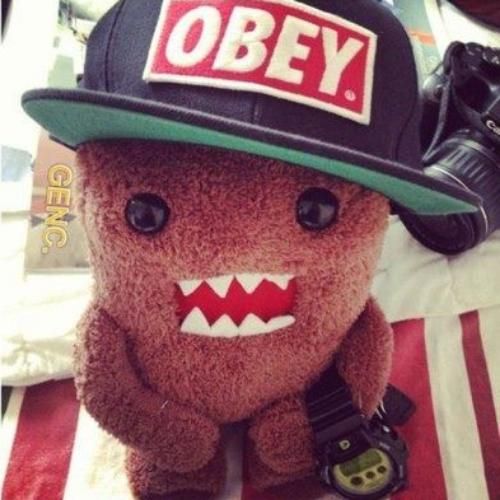 สมาชิกหมายเลข 9239207