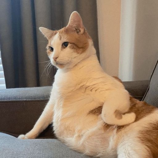 สมาชิกหมายเลข 9270579