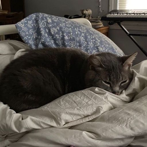 สมาชิกหมายเลข 9271045