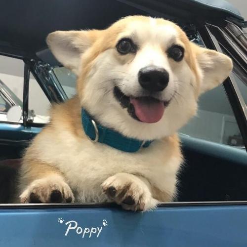 สมาชิกหมายเลข 4904089