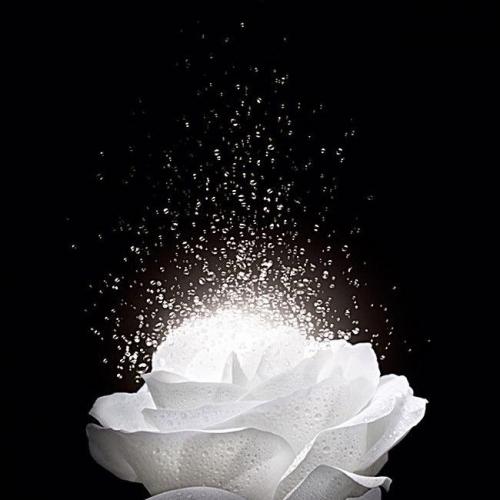 สมาชิกหมายเลข 5801658