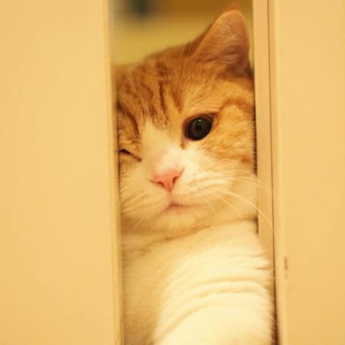 สมาชิกหมายเลข 5801703