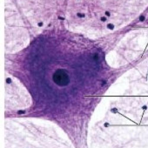 สมาชิกหมายเลข 5801723