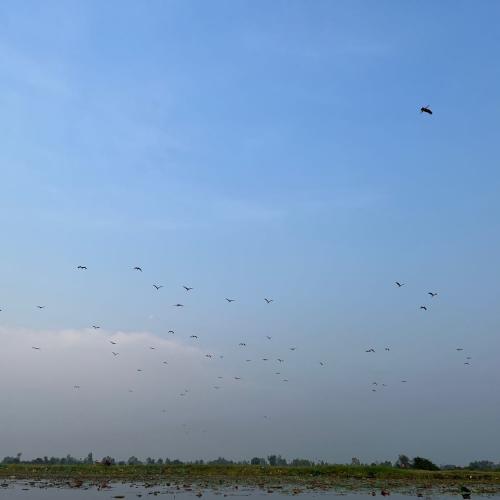 สมาชิกหมายเลข 1737910