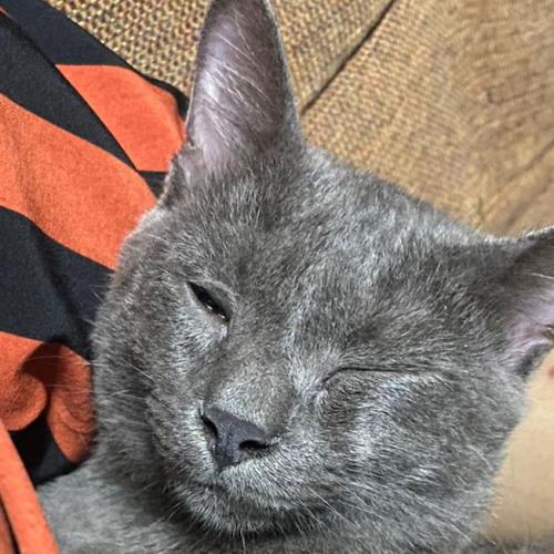 สมาชิกหมายเลข 7093195