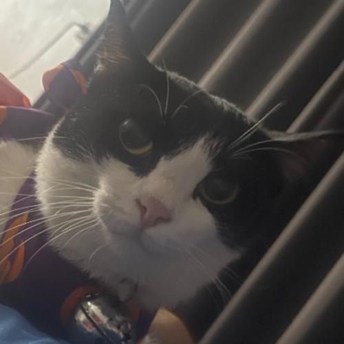 สมาชิกหมายเลข 1310907