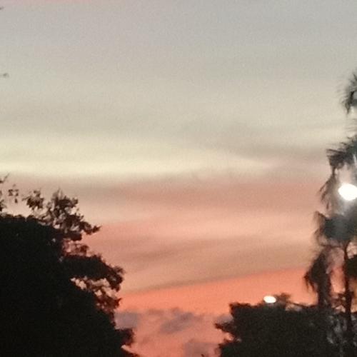 สมาชิกหมายเลข 7872372