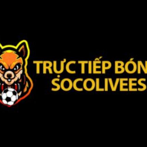 สมาชิกหมายเลข 8851182