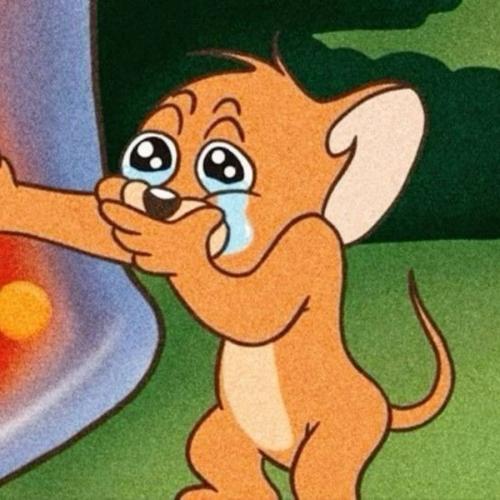 สมาชิกหมายเลข 8882276