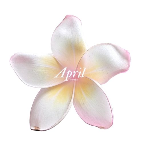 สมาชิกหมายเลข 3630412