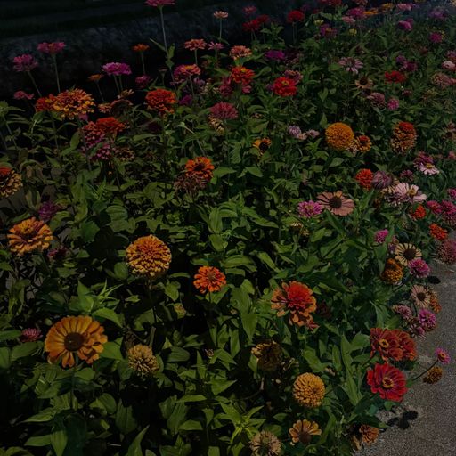 สมาชิกหมายเลข 4228605