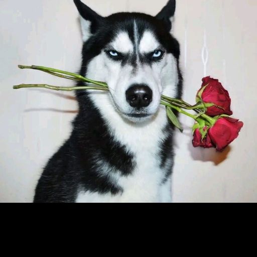 สมาชิกหมายเลข 8473076