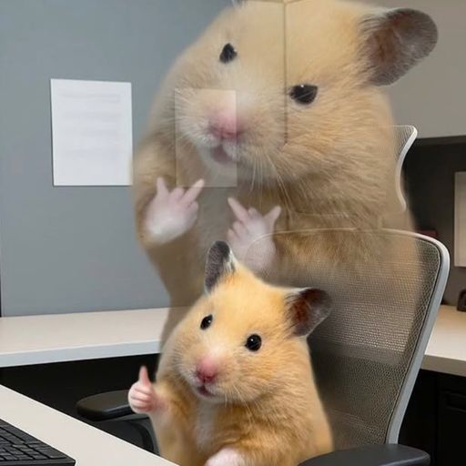 สมาชิกหมายเลข 9272244