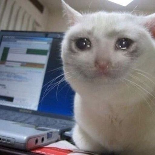 สมาชิกหมายเลข 9273050