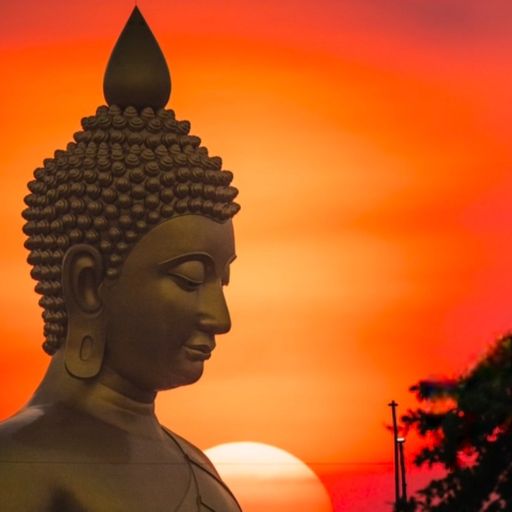 สมาชิกหมายเลข 9273257