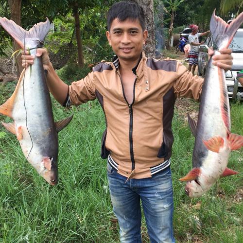 สมาชิกหมายเลข 4587555