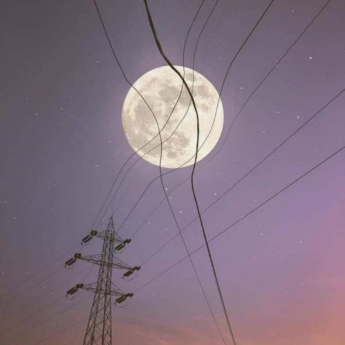 สมาชิกหมายเลข 5187975