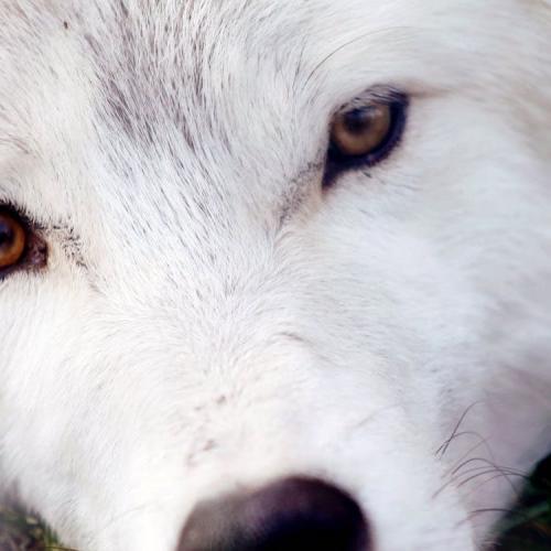 สมาชิกหมายเลข 5331671