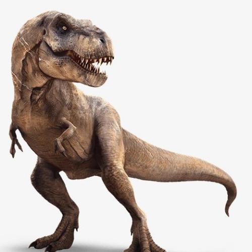 สมาชิกหมายเลข 5332212