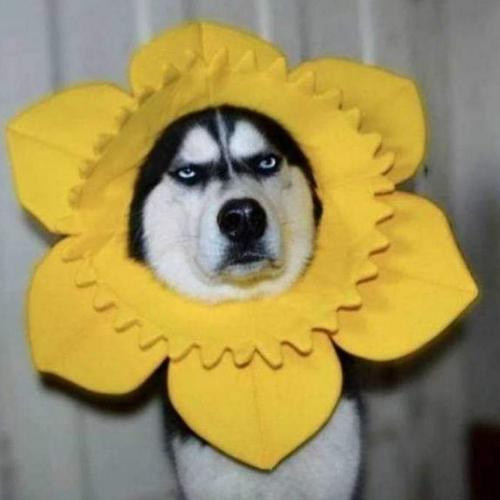 สมาชิกหมายเลข 5801838