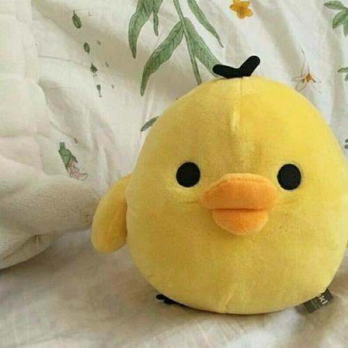 สมาชิกหมายเลข 2616088